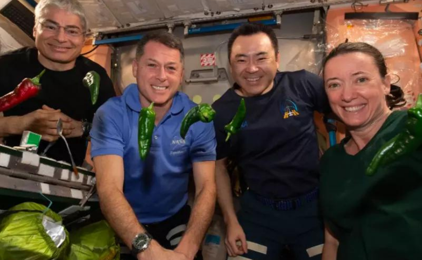 NASA Biberlerle Uzayda İki Dünya Rekoru Kırdı