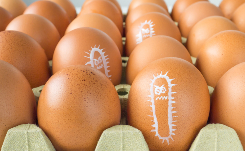 Yumurtalarda Salmonella Şüphesi